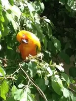 yardwork.webp