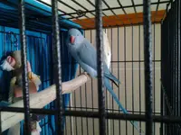 20130316_143628.webp