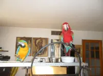 Copy of SAM_0324.webp
