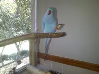 IMG-20130319-00409.webp