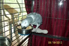 100_0385.webp