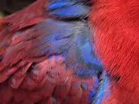 ImageUploadedByTapatalk HD1364072107.578282.webp