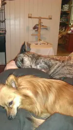 IMAG1788.webp