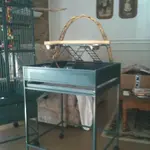 Play Stand.webp