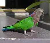 DSC_0178 - Copy.webp