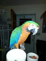 20130326_210816.webp 20130326_210816.webp