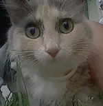 HNI_0083.webp