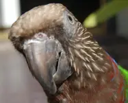 DSC_0181 - Copy.webp