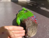 DSC_0182 - Copy.webp