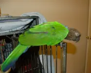 DSC_0175 - Copy.webp