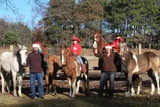 ChristmascardALL.webp