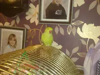 08112010640.webp