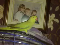 08112010643.webp