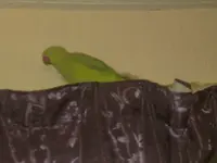 08112010647.webp