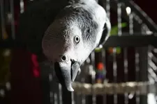 April 2013 Quincy 019.webp