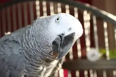 April 2013 Quincy 023.webp