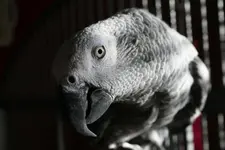 April 2013 Quincy 025.webp