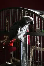 April 2013 Quincy 017.webp