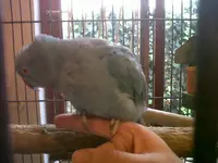 IMG01407-20130408-1802.webp
