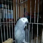 marlo.webp