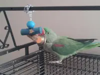 20120619_175715.webp