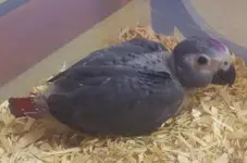 20130415_180513 (2).webp