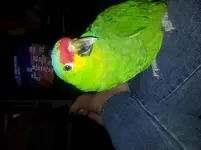 20130416_063223.webp