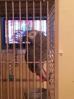 20120626_185418_1.webp 20120626_185418_1.webp