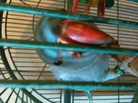 photo.webp