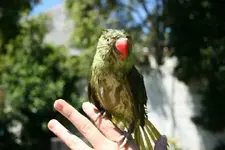 76086_10150093570081763_5737894_n.webp