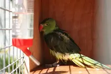 154808_10150093570361763_4437252_n.webp