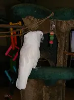 DSCF7551.webp