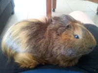 20130422_145858.webp