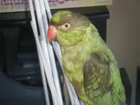 DSCF3354.webp
