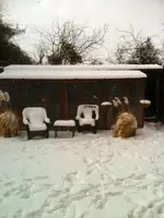 Aviary winter - 2.webp