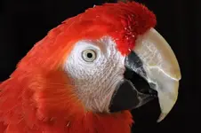 DSC_0386 (Small).webp