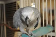 DSC_0387 (Small).webp