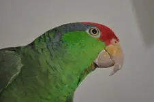 DSC_0388 (Small).webp