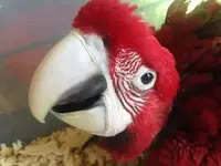 uploadfromtaptalk1434773142659.webp uploadfromtaptalk1434773142659.webp