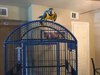 uploadfromtaptalk1434939465110.webp uploadfromtaptalk1434939465110.webp