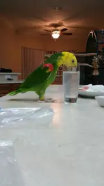 20150106_181301.webp