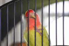 2014_07_24_Lucky2.CR2.webp