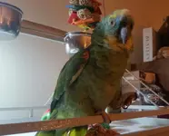 20170101_193941-1.webp