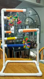 project bird stand -2.webp