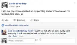 Screen Shot 2017-01-14 at 12.44.59 PM.webp