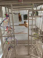 Cage #3.webp