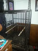 20150716_105514.webp