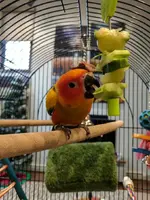 IMG_20170118_120033.webp