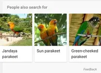 Screenshot_20170201-001602.webp