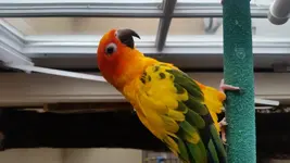 20150216_145247.webp